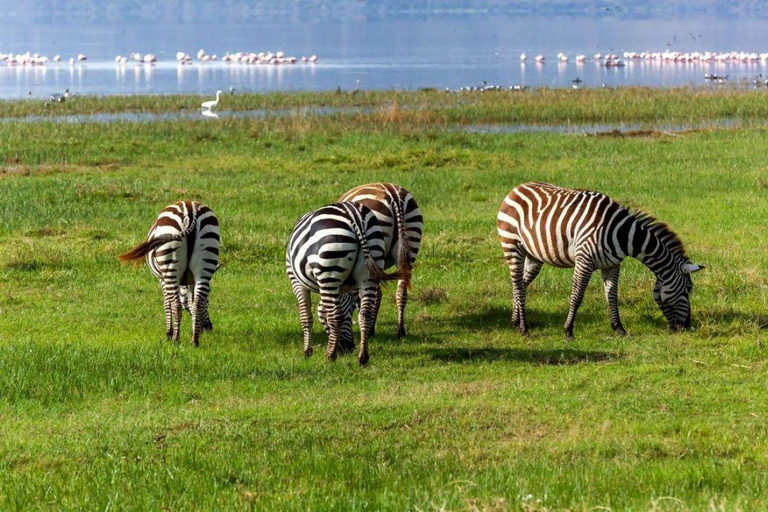 Lake Nakuru & Naivasha National Park Wildlife Highlights