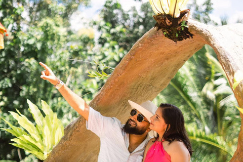 Alas Tirta: Bali Swing, Zipline & Hidden Waterfall - Ubud One Swing Package