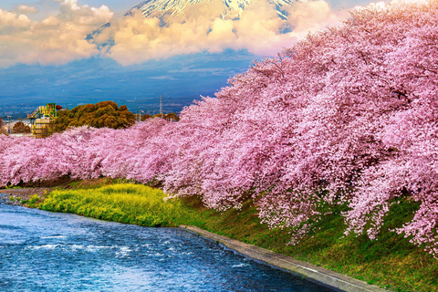 Tokyo To:Mount Fuji And Lake Kawaguchi Full Day Private Tour