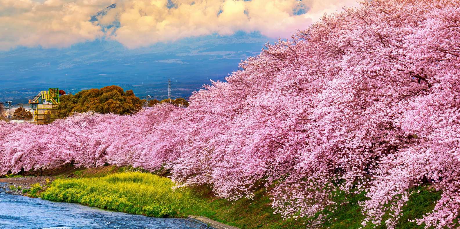 From Tokyo: Mt Fuji Private Day Tour In Luxury Land Cruiser