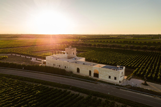 TORLEANZI: Wine Tour and Tasting at the Torre San Gennaro Winery