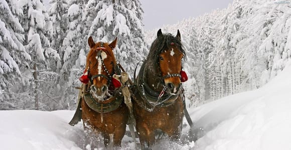 Krakow: Zakopane Snowmobile & Kulig Day Trip with Dinner