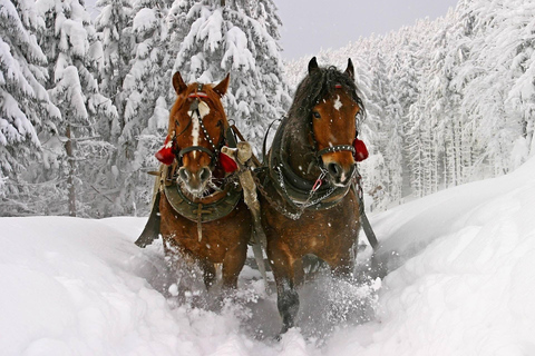 Krakow: Zakopane Snowmobile & Kulig Day Trip with Dinner