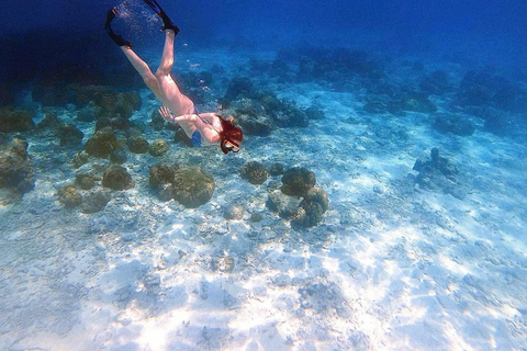 Phuket/Khaolak: Viagem de catamarã de alta velocidade às Ilhas Similan