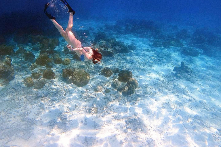 Phuket/Khaolak : excursion en catamaran à grande vitesse dans les îles Similan