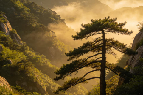 Shandong Mount Tai: Hongmen Gate Hiking Pass