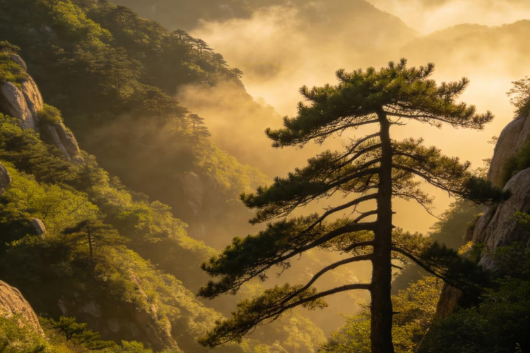 Shandong Mount Tai: Hongmen Gate Hiking Pass