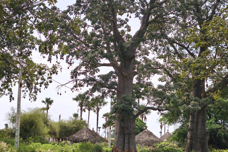 Saly: Rural Villages Tour