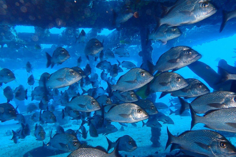 Cancún: Experiencia de Buceo por Primera Vez con 2 Tanques