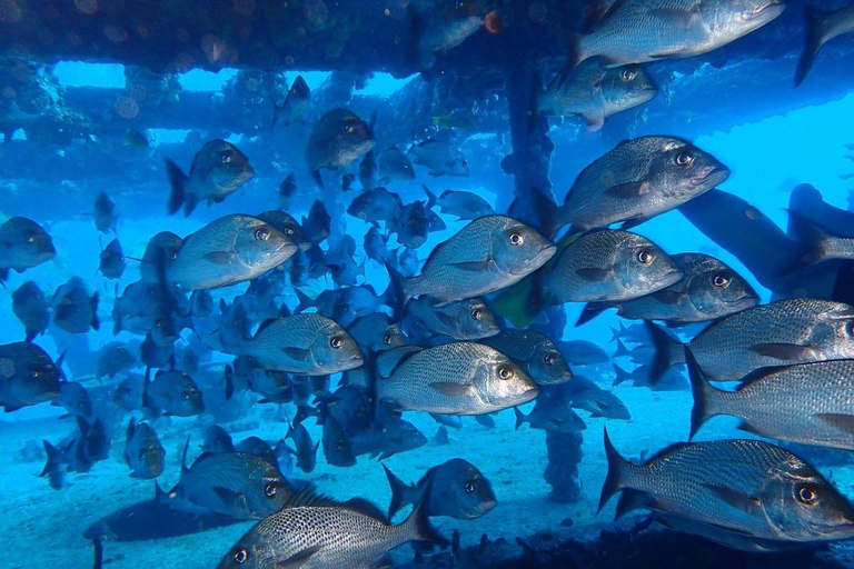 Cancun : Première expérience de plongée avec 2 bouteilles