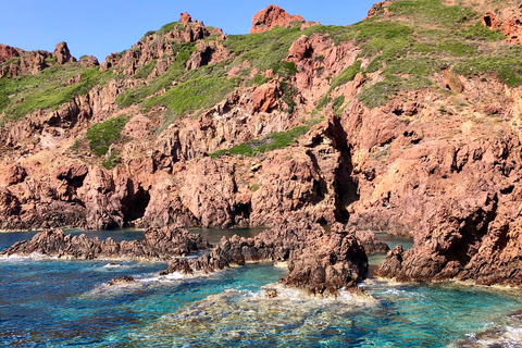 Au départ de Sagone/Cargèse : Croisière Scandola et Calanques de PianaDe Sagone