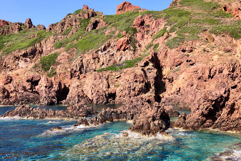 De Sagone/Cargèse: Cruzeiro em Scandola e Calanques de PianaDe Cargèse