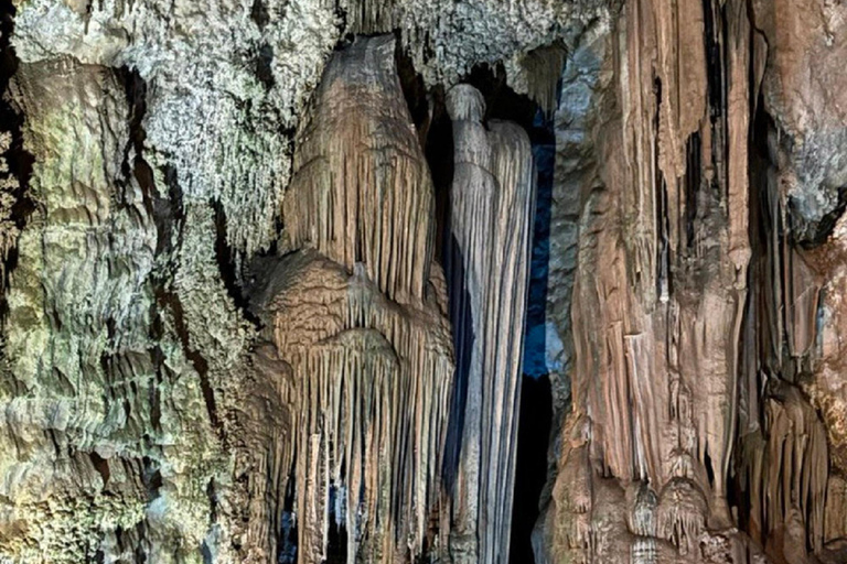 Alicante/Benidorm: rondleiding door de Canelobre-grot met vervoerBenidorm: rondleiding door de Canelobre-grot met vervoer