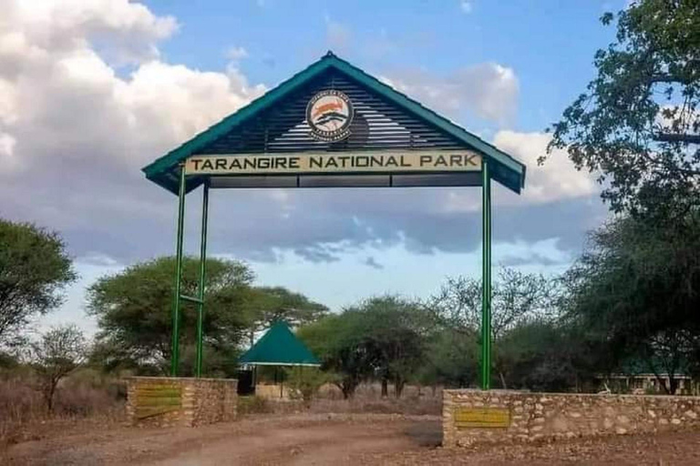 Zanzibar : Circuit du parc national du Tarangire et du cratère du Ngorongoro