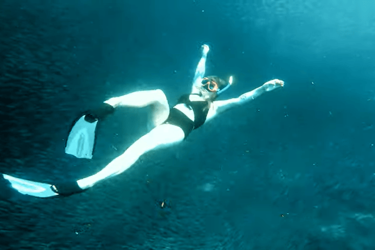 Cebú:Excursión en grupo con tiburón ballena, cascada y carrera de sardinas+Comida