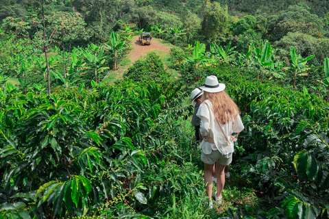 MEDELLÍN: TOUR DE MEDIO DÍA DE CAFÉ EN UNA GRANJA FAMILIAR LOCAL