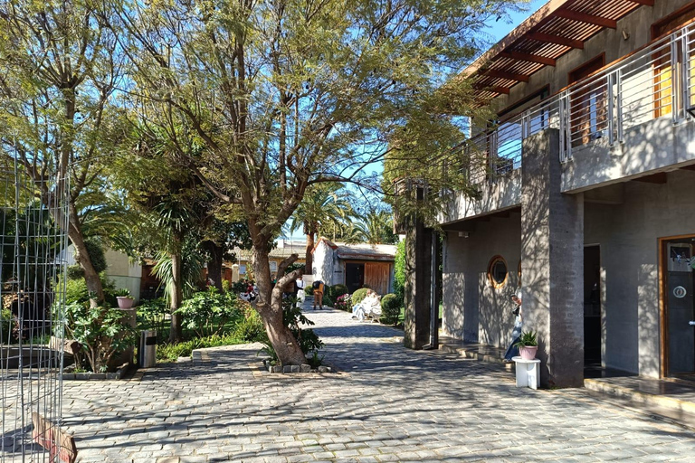 Pablo Neruda Sightseeing Tour: Discover Neruda's Valparaíso and Visit His House Pablo Neruda Sightseeing Tour: Discover Neruda's Valparaíso and visit his house