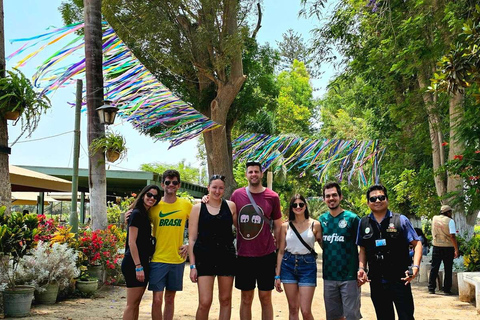 Experiencia de vino, pisco y buggy