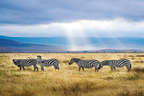 6 days Tanzania Safari tour