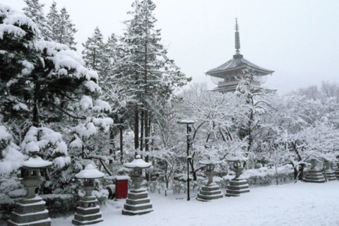 From Tokyo: Nagano Private Day Trip with Zenko-ji Temple