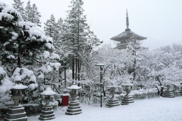 From Tokyo: Nagano Private Day Trip with Zenko-ji Temple