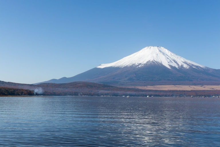 Excursion d'une journée : Mont Fuji + région du lac Kawaguchi