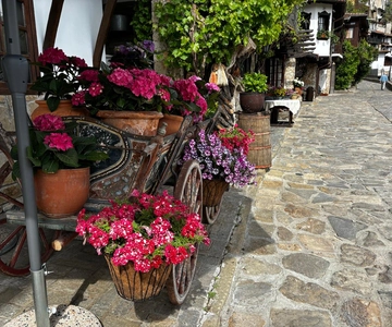 Veliko Turnovo-Bulgarian old capital and Arbanasi