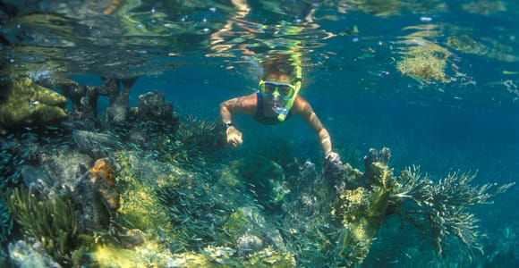 Nha Trang: Half-Day Boat Snorkeling Tour with BBQ Lunch