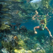 Nha Trang: Half-Day Snorkeling Adventure with BBQ lunch