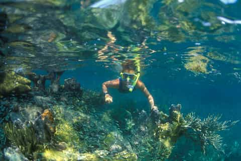 Snorkeling Tour at Mun Island Marine Park