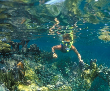 Nha Trang: Mun Island Snorkeling Adventure and BBQ Lunch