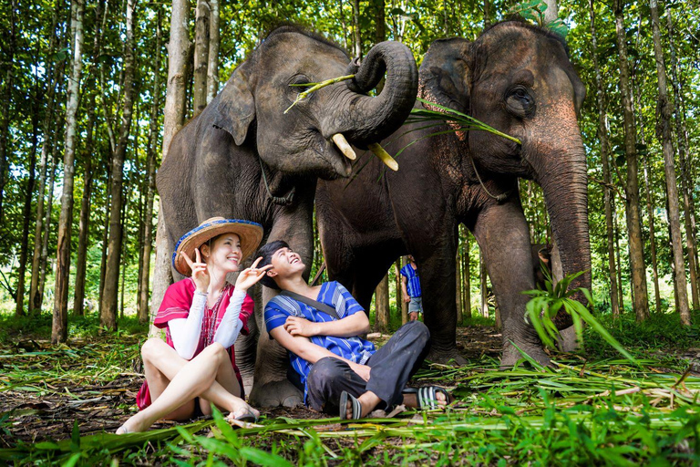 Chiang Mai : Visite d'une jounée du parc écologique des éléphants de Kerchor et trekking