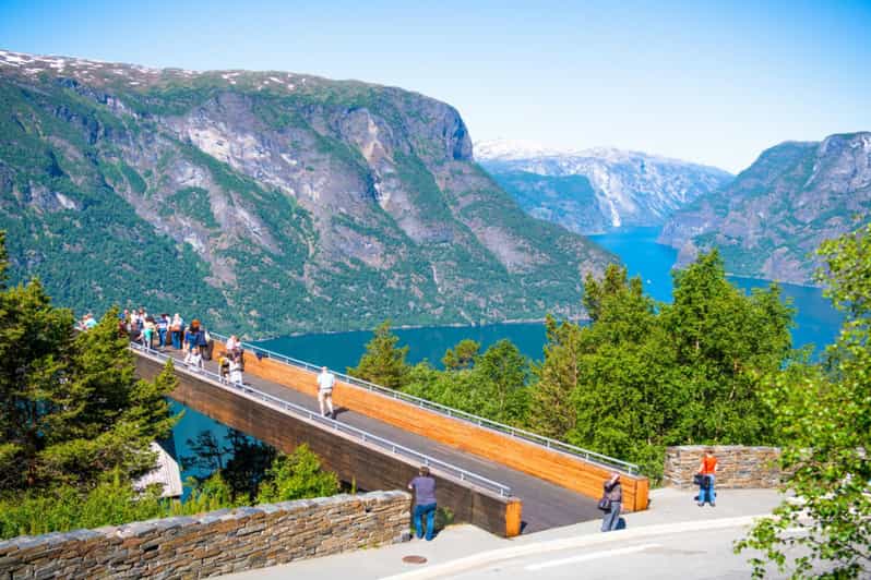 Bergen: Guided tour, Nærøyfjord Cruise, Flåm & Stegastein