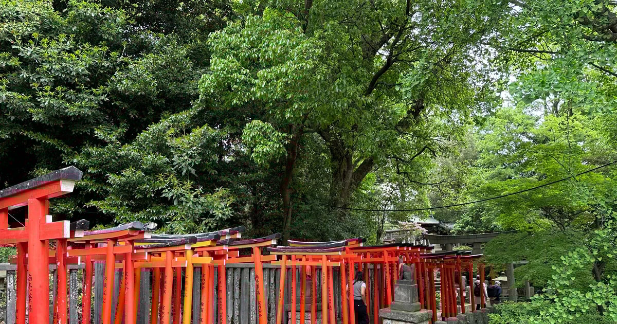 TokioLa ciudad tradicional y el barrio elegante de Tokio GetYourGuide