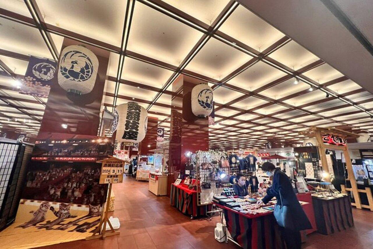 Tokyo: Tsukiji, Ginza, and Asakusa Japanese Culture Tour