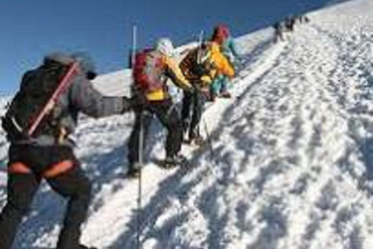 Kilimanjaro Trekking: 9 Days Northern Circuit Route