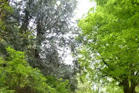 Cape Scott: Excursão à Ilha do Norte