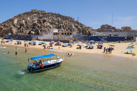 Los Cabos: Whale Watching and Safari