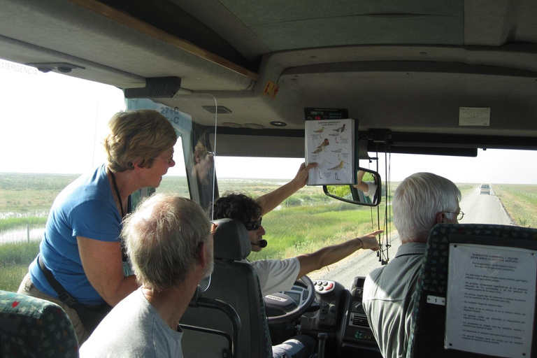 From El Rocío: Doñana National Park 4x4 Tour with Guide