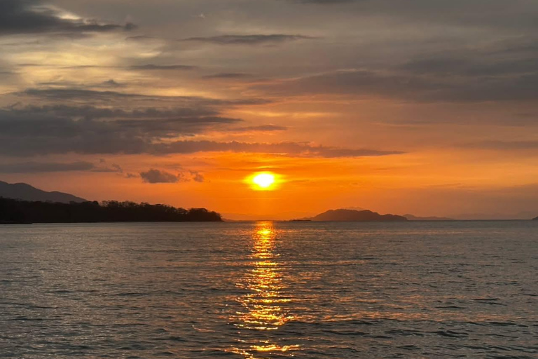 Bioluminescence, sunset, and wildlife sightseeing tour from Puntarenas