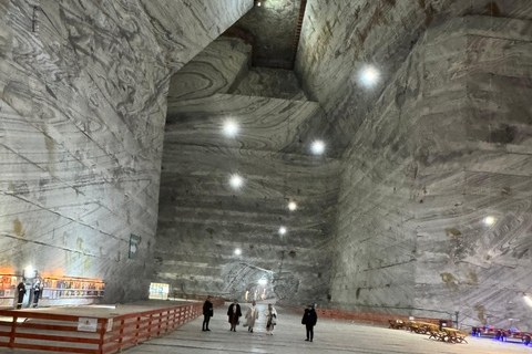 From Brașov: Slanic Salt Mine and Peles Castle Tour