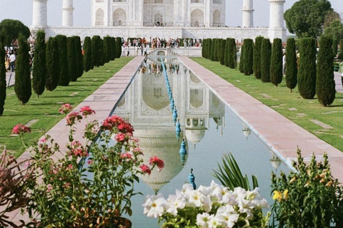 Agra: Skip-the-Line Taj Mahal Express Entry Ticket