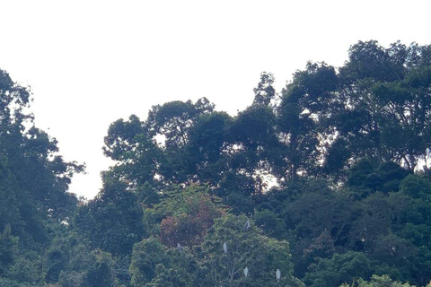 Langkawi: Geopark-tur till södra önGeopark-tur till södra ön