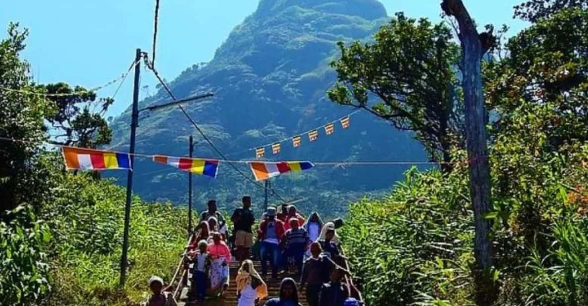 From Kandy: Adams Peak Trekking & Epic Guided Hike | GetYourGuide