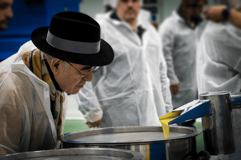 Toledo: Olive Oil Mill Tour & Tasting 4 EVOO Casas de Hualdo