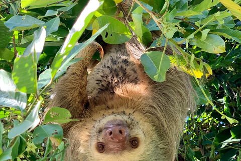 Parco nazionale di Cahuita e giardino tropicale di Maratopia