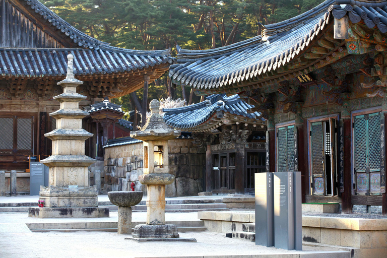 Tongdosa UNESCO & Gourmet Half Day Private Tour from Busan
