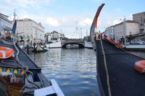 De Lisboa: Experiência gastronômica em Aveiro e Coimbra
