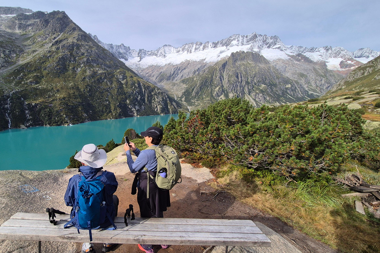 Full-Day Hiking Swiss Alps and Lake with Pick-up Shared Group Hike - From Lucerne