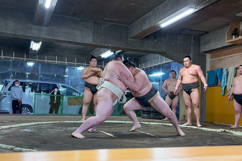 Osaka: Authentic Sumo Morning Practice & Chanko Lunch Authentic Sumo Morning Practice Viewing 【Only viewing】